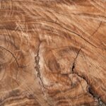 Mobilier cu texturi naturale – tratamente de suprafață
